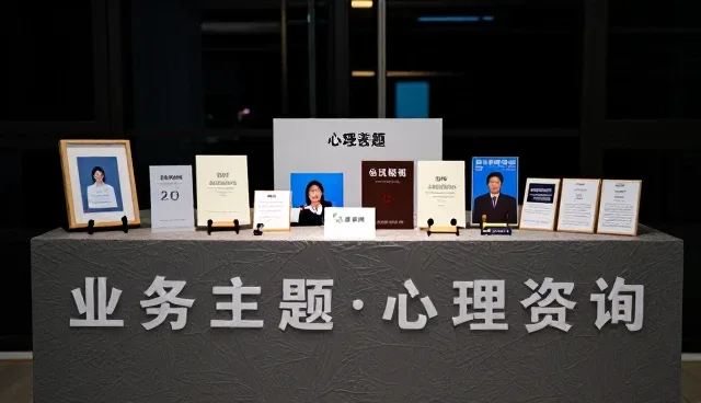 如何在项目咨询中合理评估资源整合的关键点